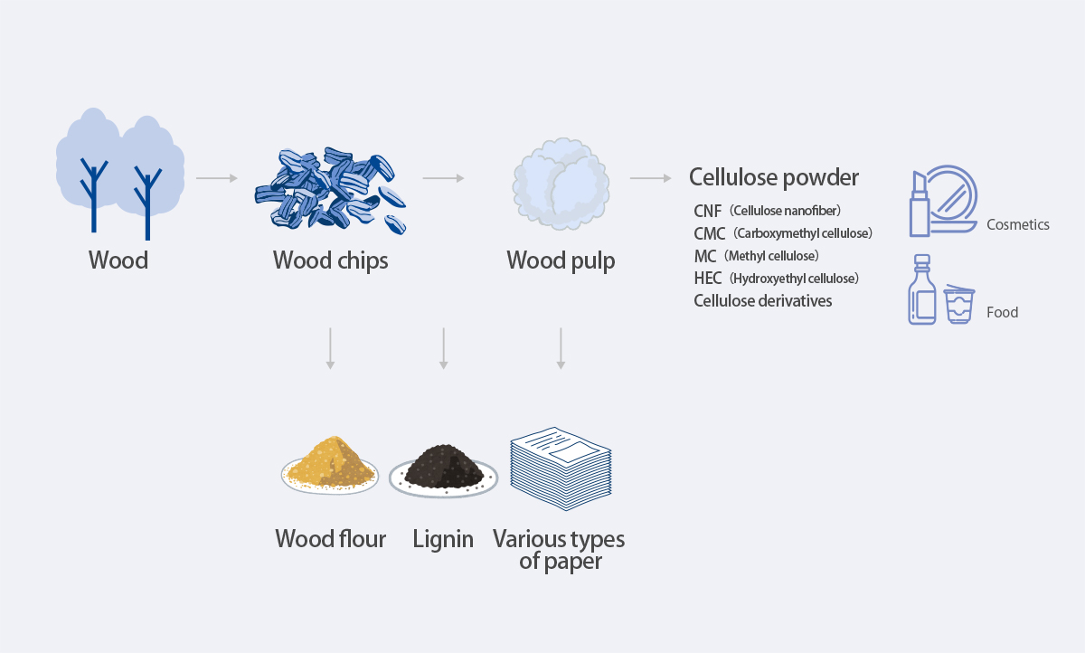 Wood→Wood chips→Wood pulp（→Wood flour、Lignin、Various types of paper）→Cellulose powder：CNF（Cellulose nanofiber）　、CMC（Carboxymethyl cellulose）、MC（Methyl cellulose）、HEC（Hydroxyethyl cellulose）、Cellulose derivatives→Cosmetics、Food