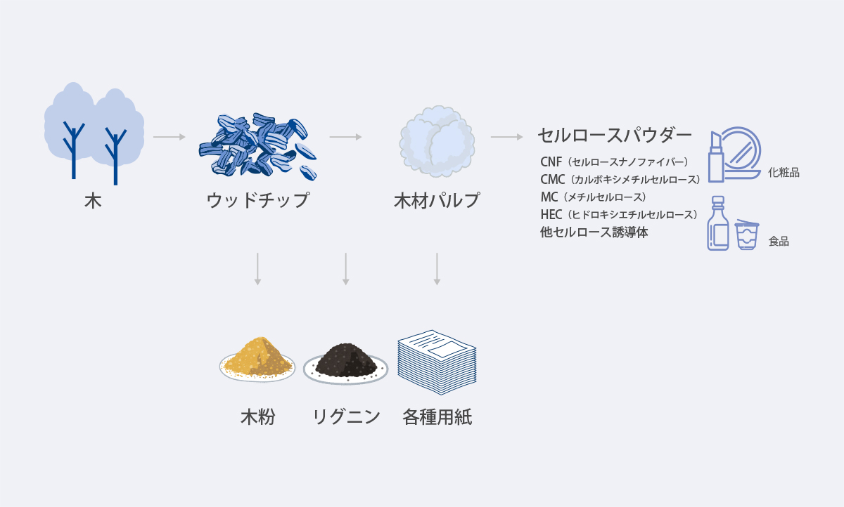 木→ウッドチップ→木材パルプ（→木粉、リグニン、各種用紙）→セルロースパウダー：CNF（セルロースナノファイバー）、CMC（カルボキシメチルセルロース）、MC（メチルセルロース）、HEC（ヒドロキシエチルセルロース）、他セルロース誘導体→化粧品、食品