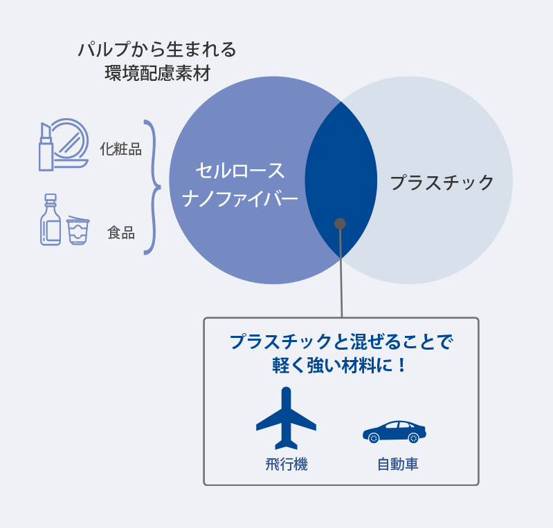 パルプから生まれる環境配慮素材 セルロース ナノファイバー（化粧品、食品） プラスチックと混ぜることで軽く強い材料に！(飛行機、自動車) プラスチック